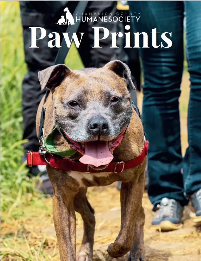 Cover of Paw Prints vol 38: Dog Cessa on a walk with two volunteers